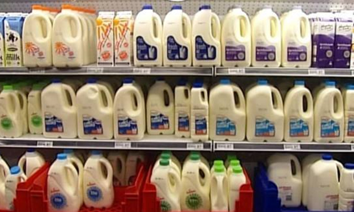 乳品包装日期喷码缺陷视觉检测系统